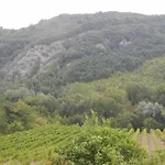 Farma La Colombarola