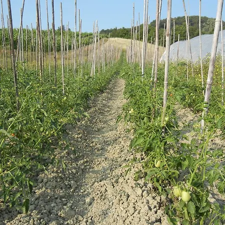 Séjour à la ferme La Colombarola *
