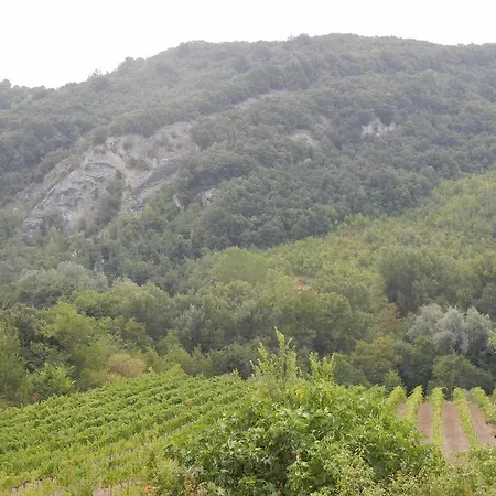 Farm stay La Colombarola